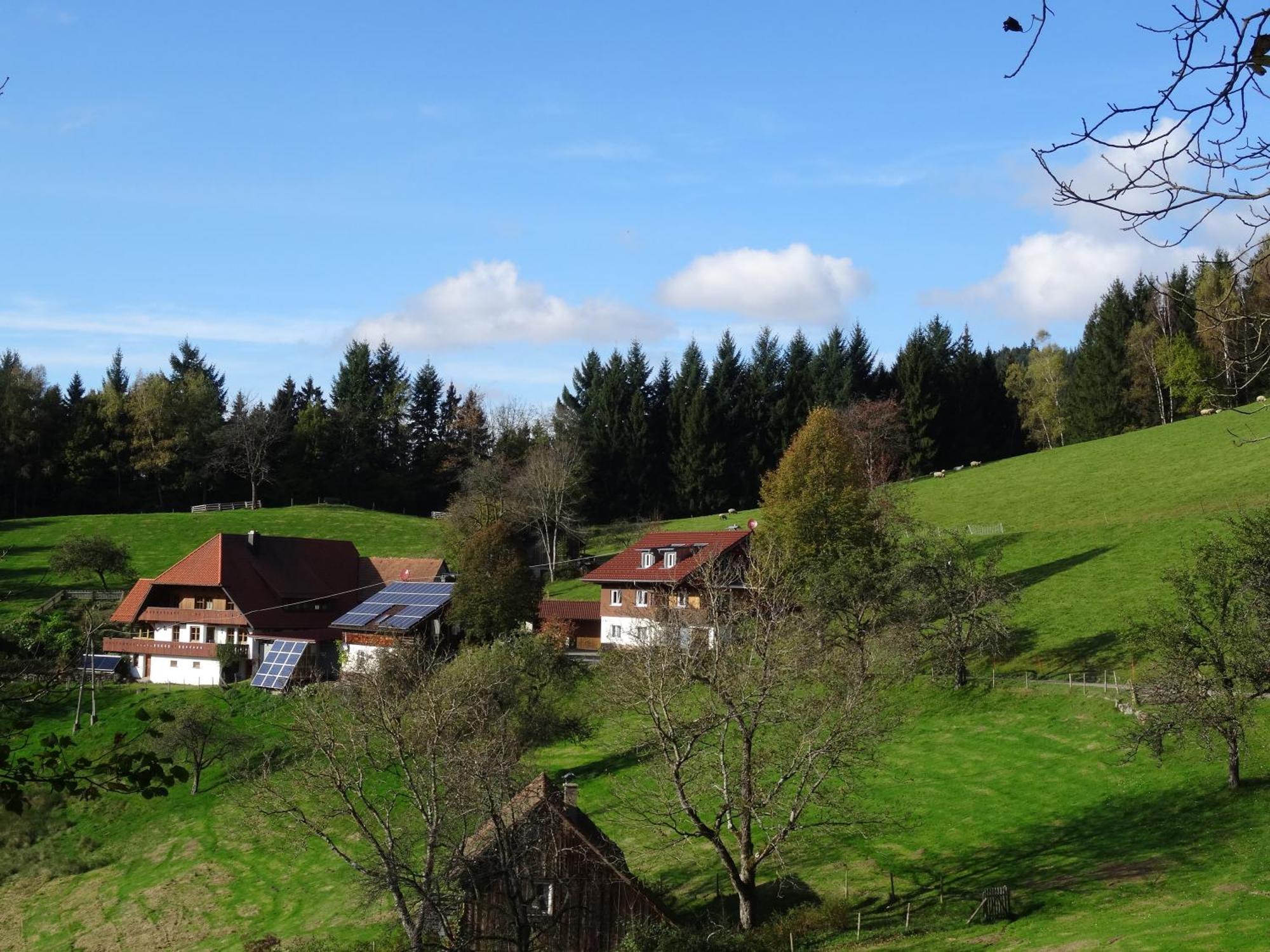 Berghansenhof Wolfach Exterior foto